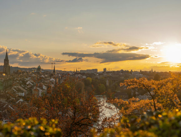 Europe & International