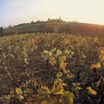 L&rsquo;art de l&rsquo;Agriculture