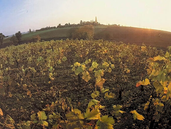 L&rsquo;art de l&rsquo;Agriculture